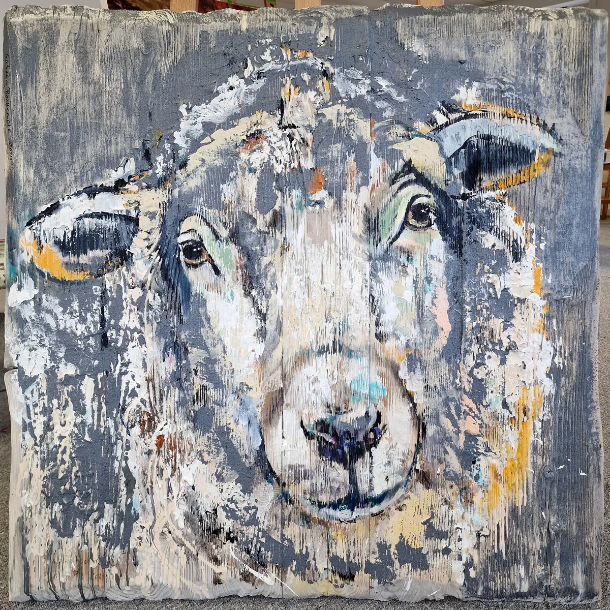 Deichschaf Dörte