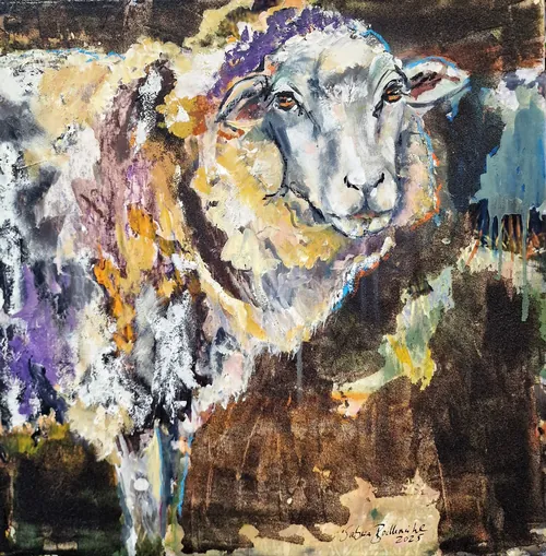 Sheep Hazel